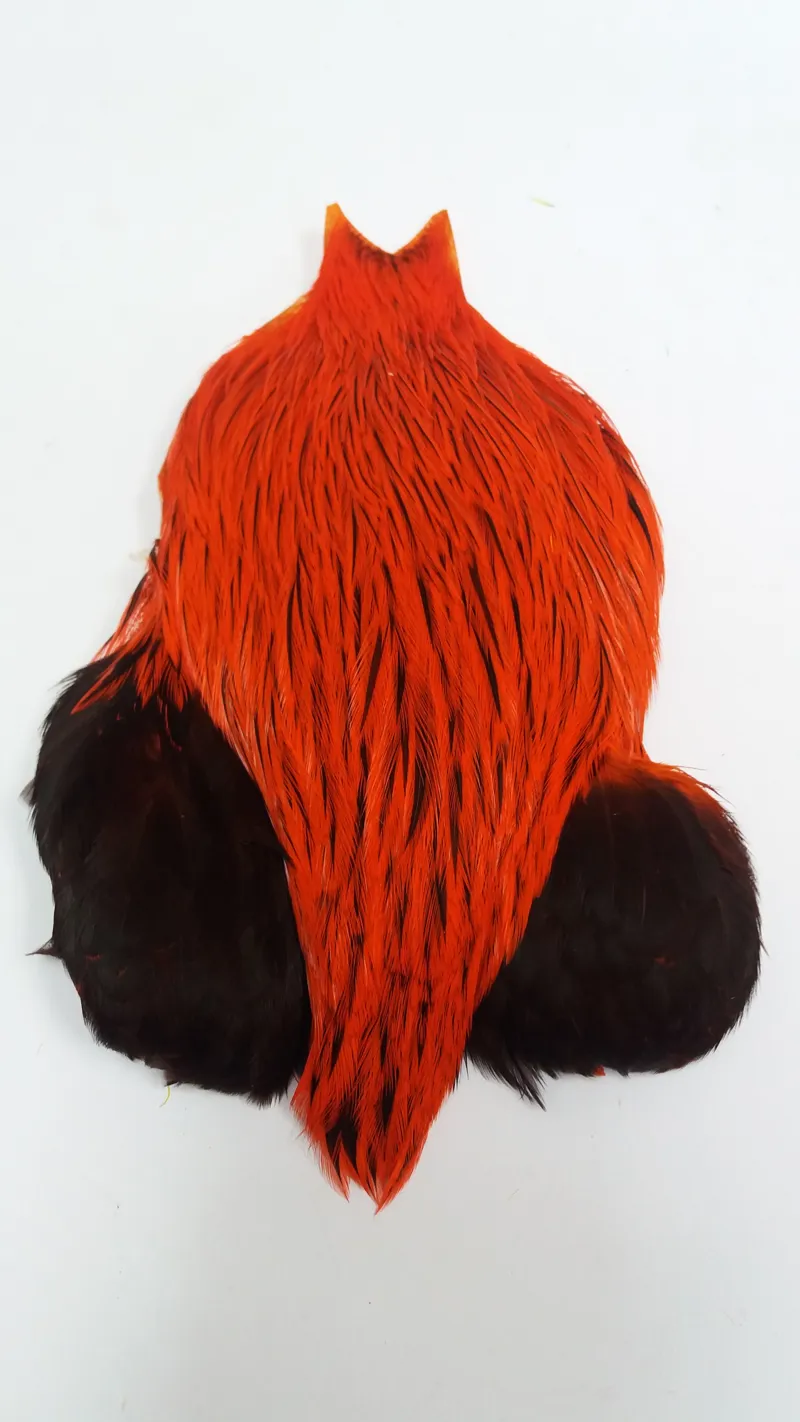 The Lakeland Brahma Rooster Cape in Silver Badger Dyed Orange  from Whiting Farms-3